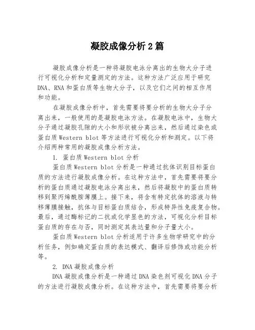 凝胶成像分析2篇