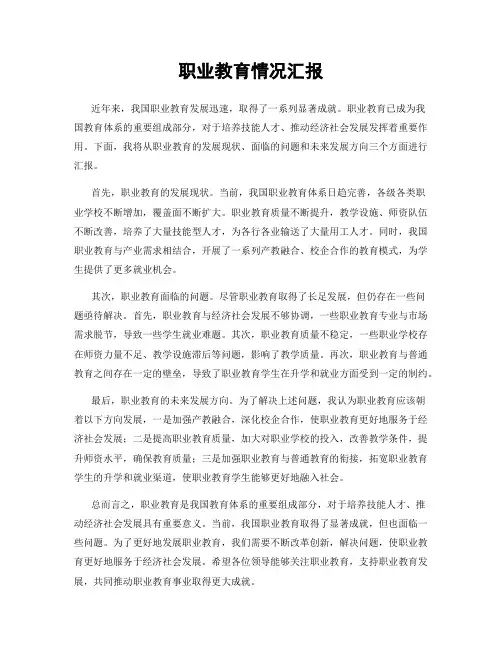 职业教育情况汇报