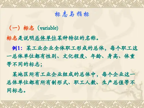 统计学-标志与指标