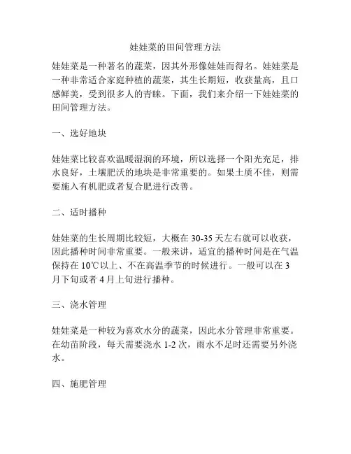 娃娃菜的田间管理方法