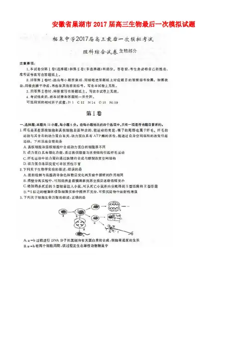 安徽省巢湖市高三生物最后一次模拟试题(扫描版)
