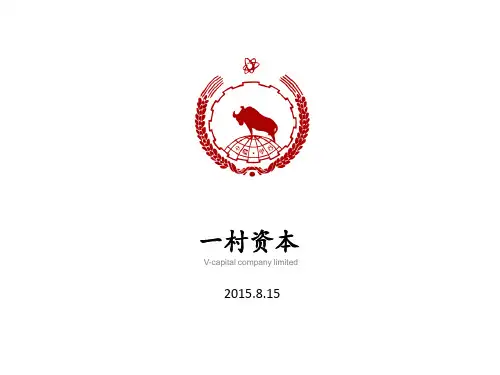 一村资本 V-Capital 简介