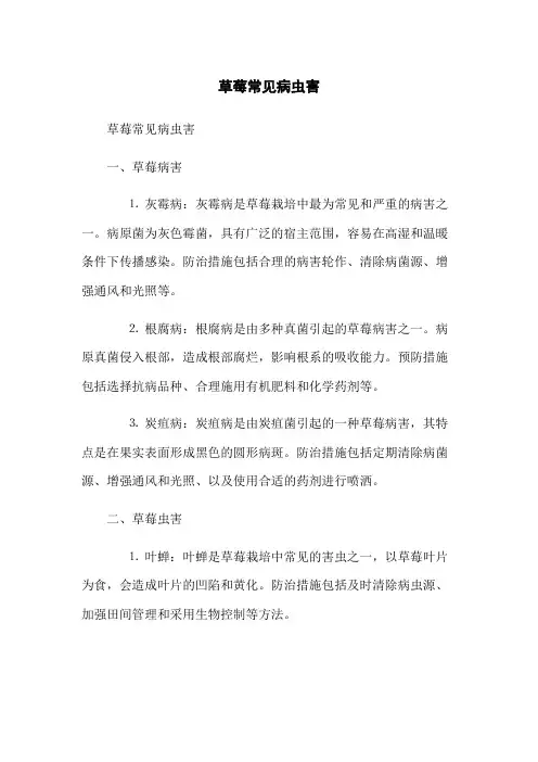 草莓常见病虫害