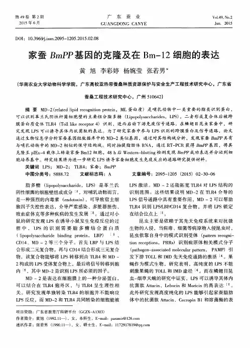 家蚕BmPP基因的克隆及在Bm-12细胞的表达