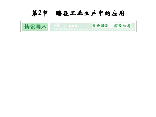 高效课堂同步课件：3-2酶在工业生产中的应用(选修2)