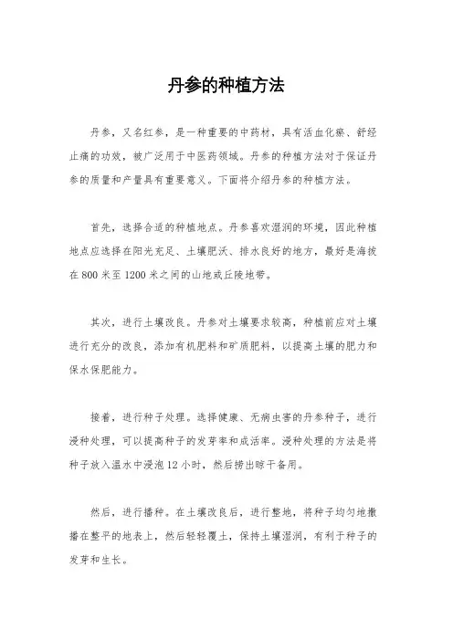 丹参的种植方法