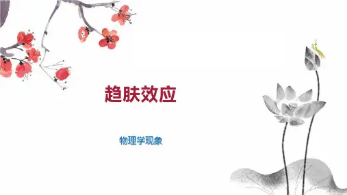 趋肤效应    