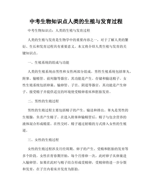 中考生物知识点人类的生殖与发育过程