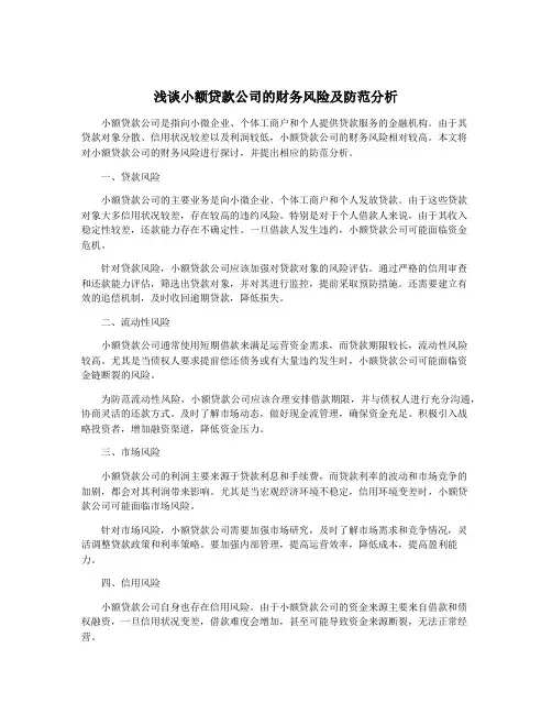 浅谈小额贷款公司的财务风险及防范分析