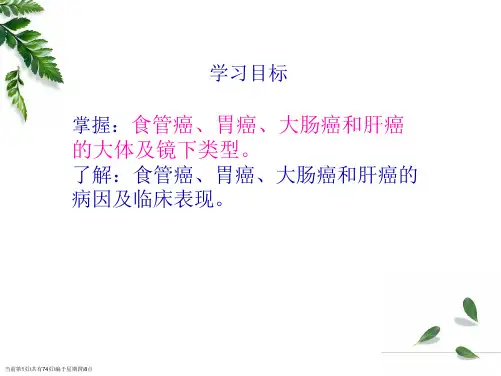 消化系统肿瘤本科病理学课件