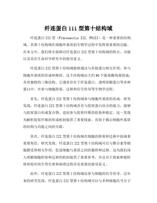 纤连蛋白iii型第十结构域