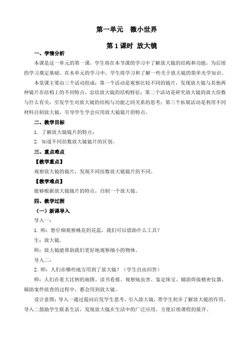 最新教科版六年级上册科学《放大镜》优质教学设计