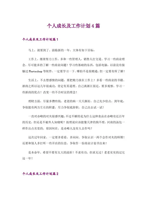 个人成长及工作计划4篇