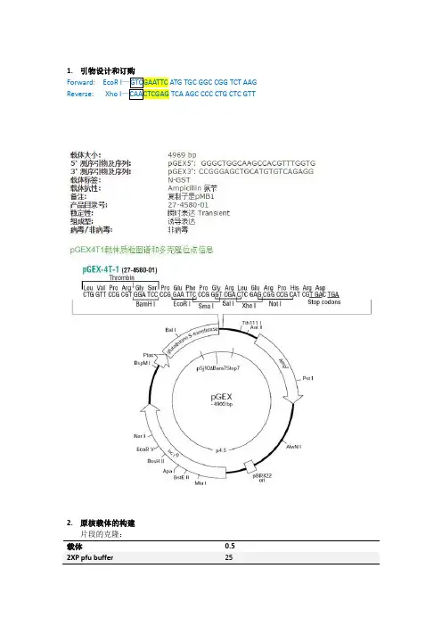 pGEX-4T-1-USP原核表达载体构建