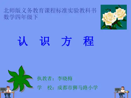 认识方程完美版PPT