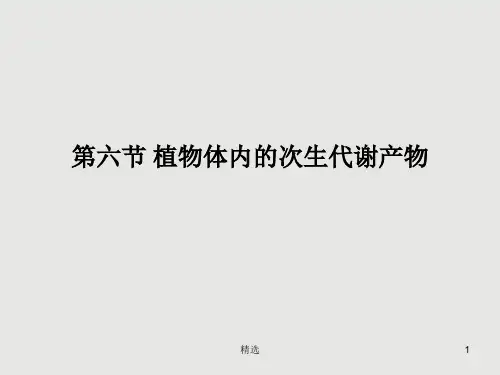 第六章 植物的次级代谢产物ppt课件