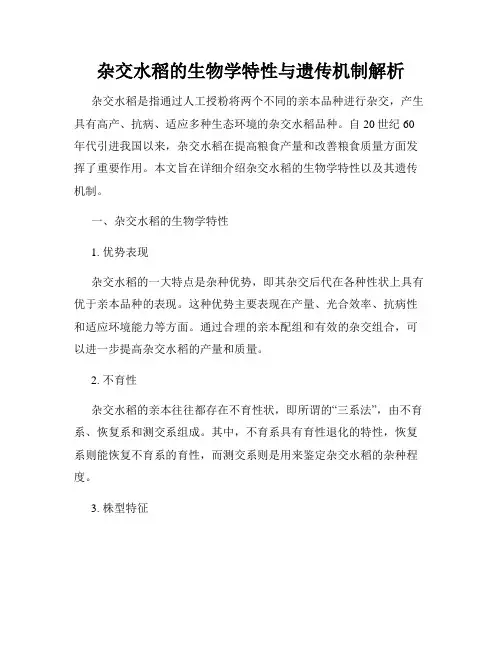 杂交水稻的生物学特性与遗传机制解析