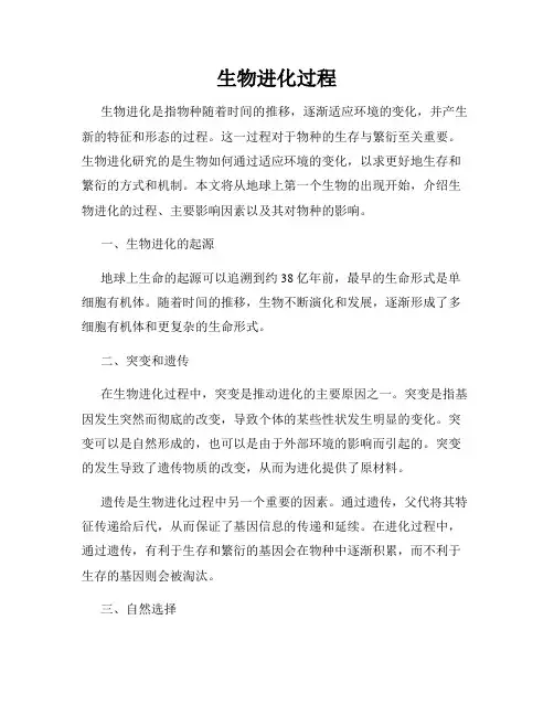 生物进化过程