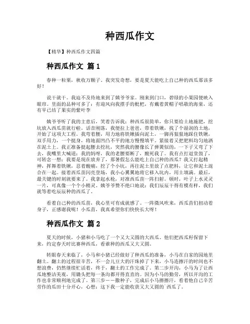 种西瓜作文