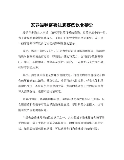 家养猫咪需要注意哪些饮食禁忌