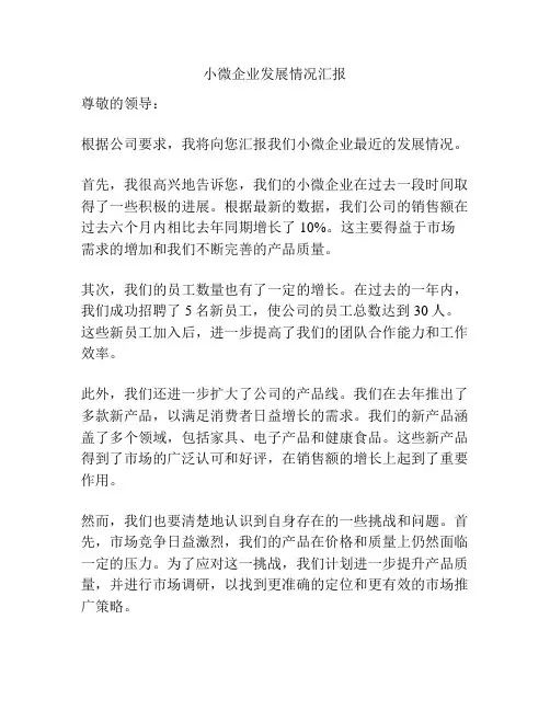 小微企业发展情况汇报