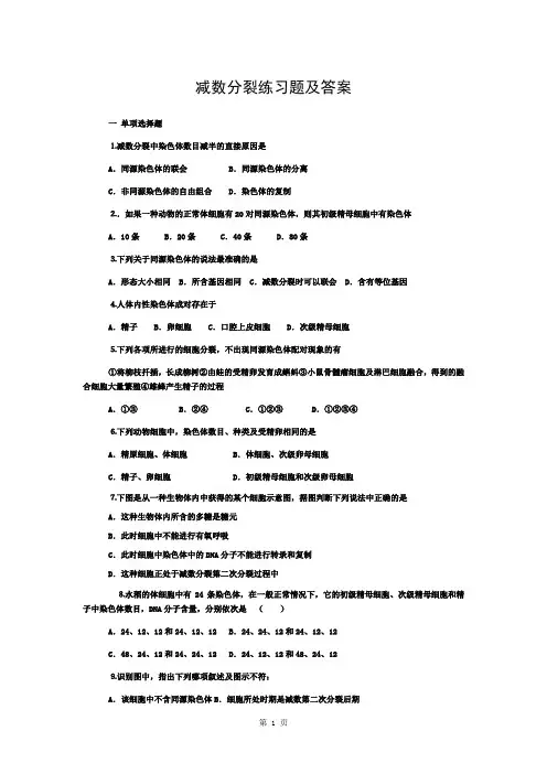 高中生物必修2---减数分裂练习题及答案