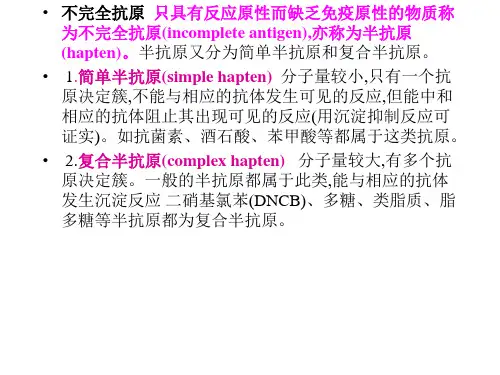 半抗原偶联