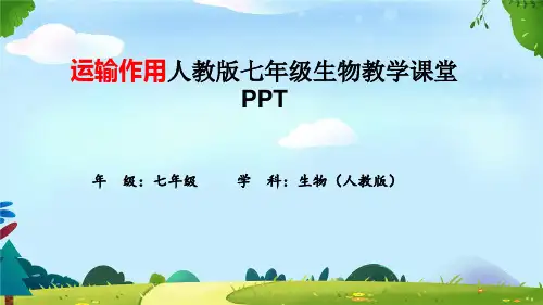 运输作用人教版七年级生物教学课堂PPT