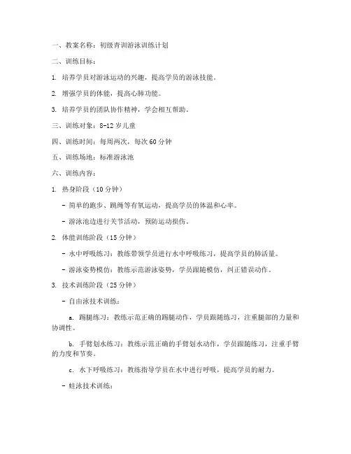 青训游泳教案模板范文