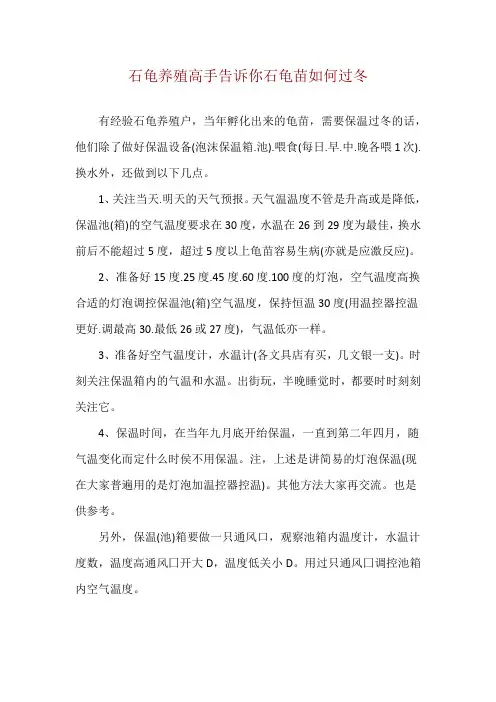 石龟养殖高手告诉你石龟苗如何过冬