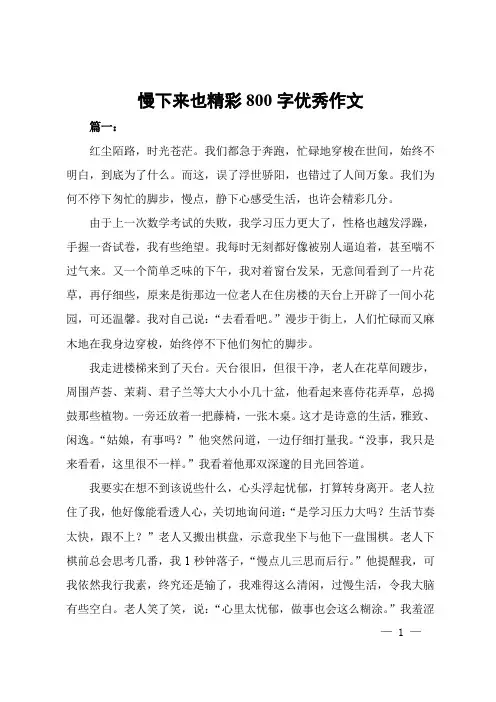 慢下来也精彩800字优秀作文