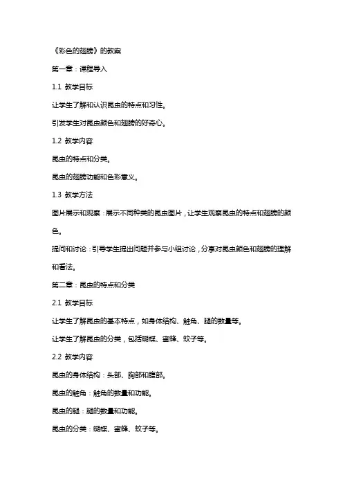 《彩色的翅膀》的教案