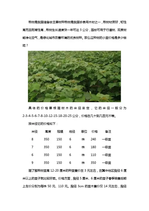 楸树苗价格