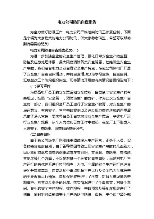 电力公司防汛自查报告