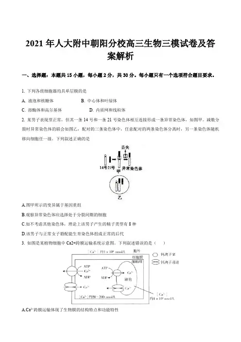 2021年人大附中朝阳分校高三生物三模试卷及答案解析