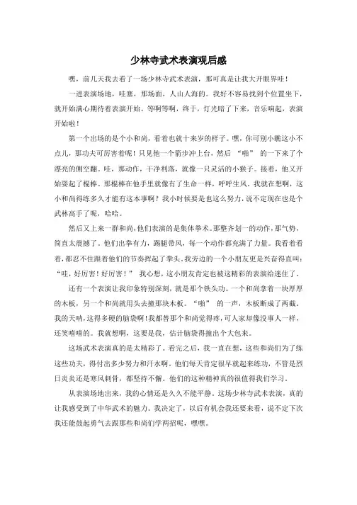 少林寺武术表演观后感