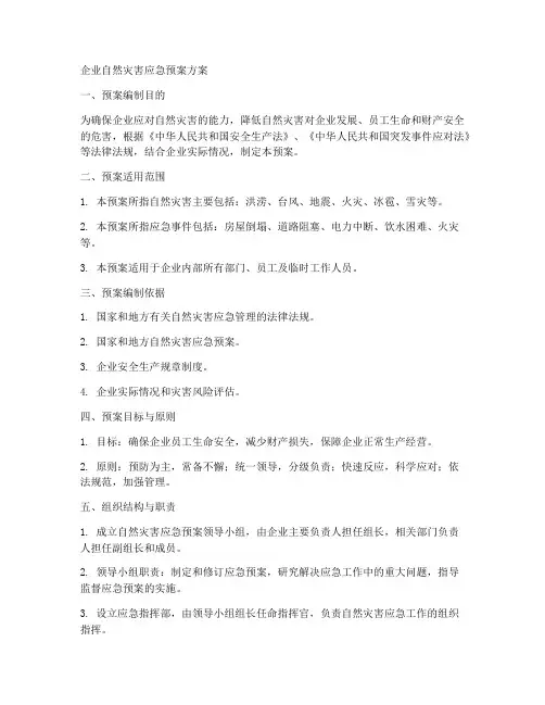 企业自然灾害应急预案方案