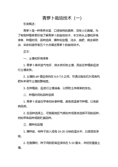 青萝卜栽培技术(一)