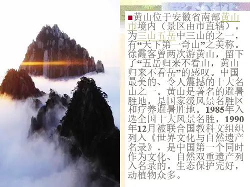 《黄山奇松》课件