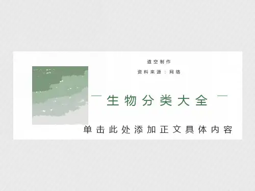生物分类大全-动物