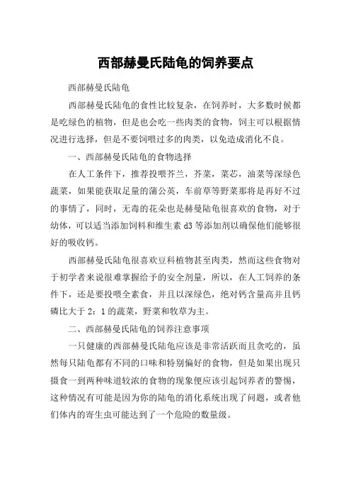 西部赫曼氏陆龟的饲养要点