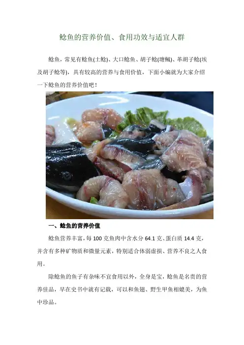 鲶鱼的营养价值、食用功效与适宜人群