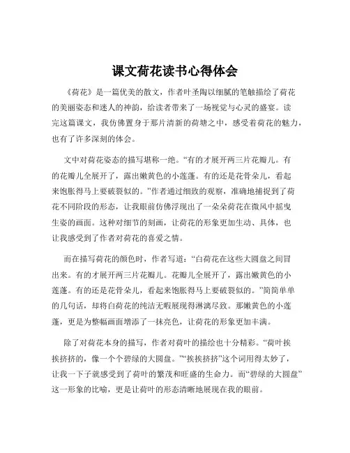 课文荷花读书心得体会