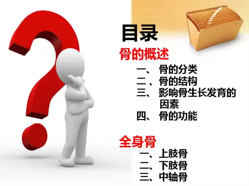 体育健康常识人体骨骼认识PPT课件
