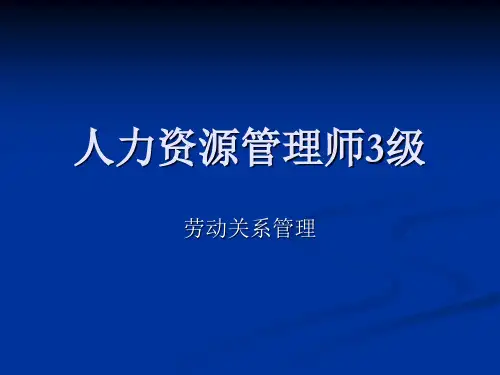 3级劳动关系PPT1精品文档