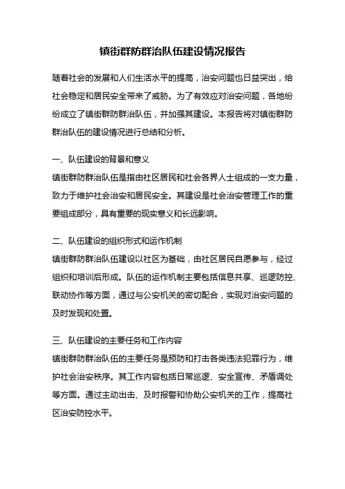 镇街群防群治队伍建设情况报告