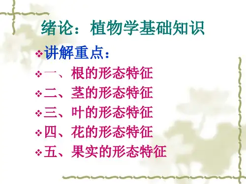 植物学基础知识