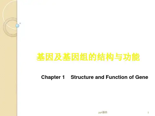 基因及基因组的结构与功能ppt课件