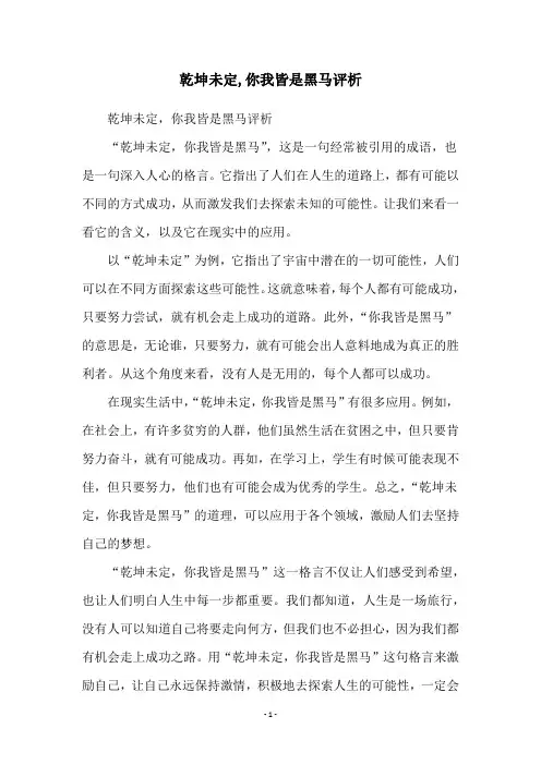 乾坤未定,你我皆是黑马评析
