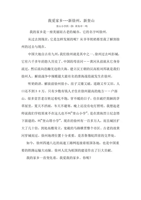 我爱家乡--新徐州